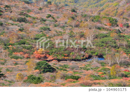 秋　那須岳　姥ヶ平 104903175