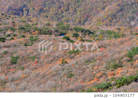 秋　那須岳　姥ヶ平 104903177