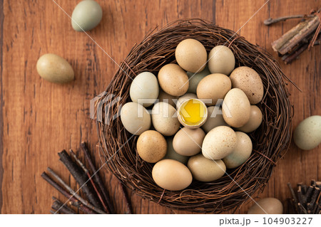 卵 たまご 玉子 104903227