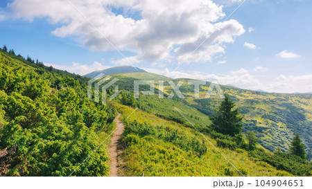 trail through the hills and meadows. alpine scenery of ukrainian carpathians. popular travel destination to the petros mountain in summer trail through the hills and meadows. alpine scenery of ukrainian carpathians. popular travel destination to the petros mountain in summer 104904651