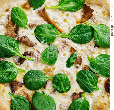 Hot mushroom pizza with basil closeup Hot mushroom pizza with basil closeup 104906958