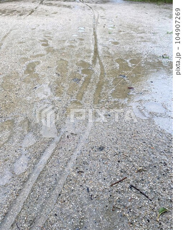 雨上がりの泥道に残る自転車のタイヤ跡と足跡 雨上がりの泥道に残る自転車のタイヤ跡と足跡 104907269