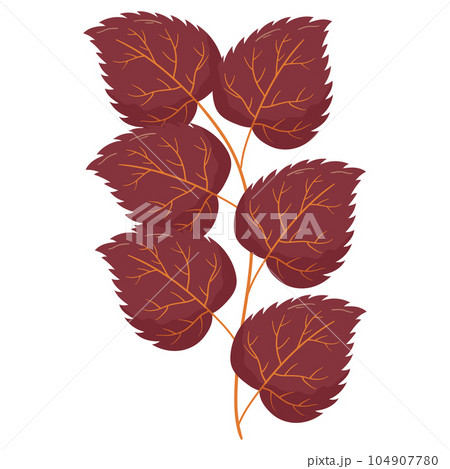 Autumn forest leaf branch illustration 104907780