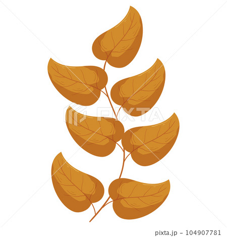 Autumn forest leaf branch illustration 104907781