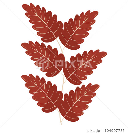 Autumn forest leaf branch illustration 104907783
