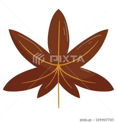 Autumn forest brown maple leaf illustration 104907785