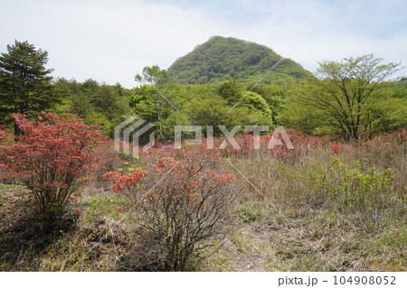 群馬県榛名山 榛名高原 ヤセオネ峠付近から相馬山方面を見る 2023年5月18日 群馬県榛名山 榛名高原 ヤセオネ峠付近から相馬山方面を見る 2023年5月18日 104908052