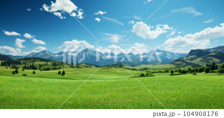 Landscape featuring a green meadow and snowy mountains Landscape featuring a green meadow and snowy mountains 104908176