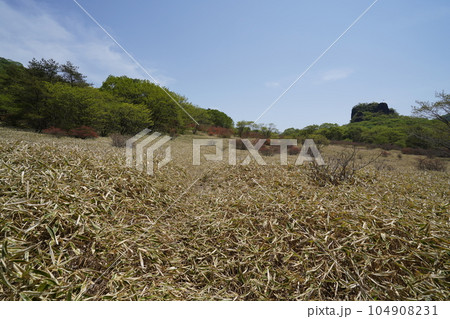 群馬県榛名山　榛名高原からスルス岩方面を見る　　2023年5月18日 104908231