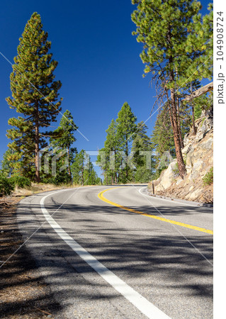 Asphalt road through forest Asphalt road through forest 104908724