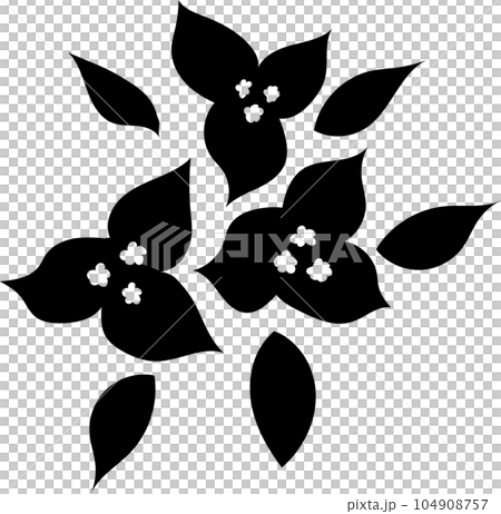 可愛的九重葛 104908757