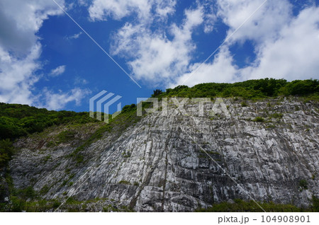 あぶくま洞の石灰岩壁 あぶくま洞の石灰岩壁 104908901