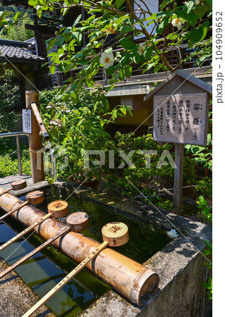 【奈良】あじさい寺とも呼ばれる矢田寺。参道にはたくさんの品種のあじさいが咲いていて綺麗です。 【奈良】あじさい寺とも呼ばれる矢田寺。参道にはたくさんの品種のあじさいが咲いていて綺麗です。 104909652