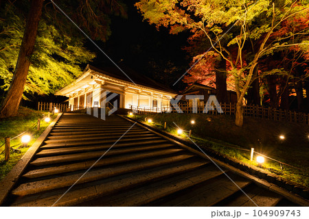 中尊寺ライトアップされた紅葉の金色堂覆堂 104909743