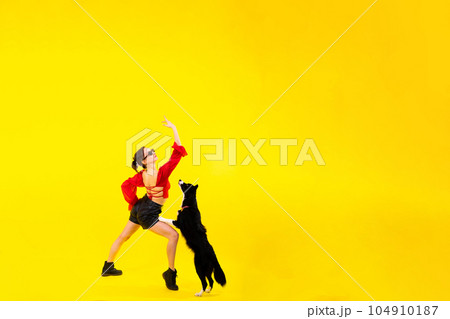Excited girl dancing with border collie. Studio portrait lady looking at dog with surprised smile. Excited girl dancing with border collie. Studio portrait lady looking at dog with surprised smile. 104910187