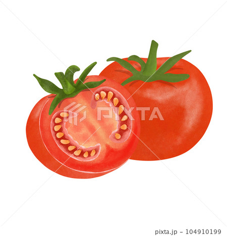 tomato 104910199