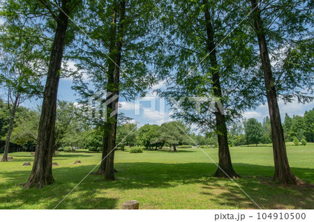 埼玉県入間市、彩の森入間公園 埼玉県入間市、彩の森入間公園 104910500
