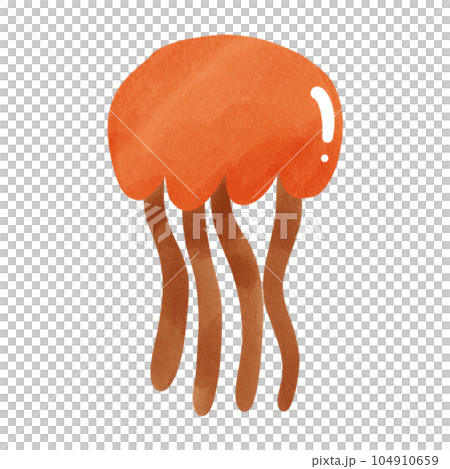 Jellyfish Jellyfish 104910659