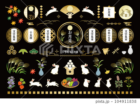 秋のお月見とうさぎのイラストセット 104911838