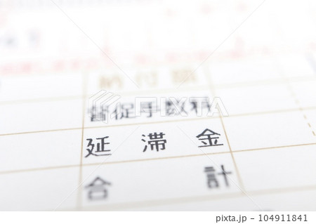 税金納付書の督促手数料、延滞金の記入欄 104911841