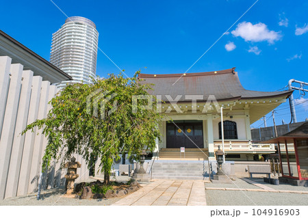 東京都墨田区 圓通寺 東京都墨田区 圓通寺 104916903