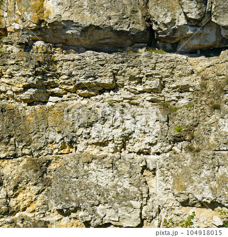 Geological section of deposits of shell rock. Geological section of deposits of shell rock. 104918015