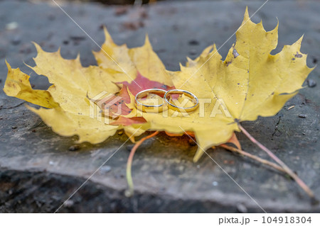 Autumn background golden wedding rings on green leaf on tree stump in autumn forest Autumn background golden wedding rings on green leaf on tree stump in autumn forest 104918304