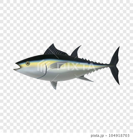 Tuna fish mockup. Realistic illustration of tuna fish vector mockup for on transparent background Tuna fish mockup. Realistic illustration of tuna fish vector mockup for on transparent background 104918703