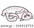 ごろごろしてる猫 104918759