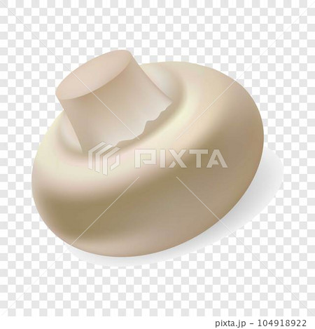 Fresh champignon mockup. Realistic illustration of fresh champignon vector mockup for on transparent background Fresh champignon mockup. Realistic illustration of fresh champignon vector mockup for on transparent background 104918922