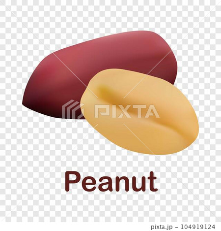 Peanut icon. Realistic illustration of peanut vector icon for on transparent background Peanut icon. Realistic illustration of peanut vector icon for on transparent background 104919124