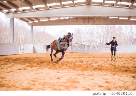 Dressage horse training on cord for equitation. Hispanic middle age woman on riding hall. Dressage horse training on cord for equitation. Hispanic middle age woman on riding hall. 104920110