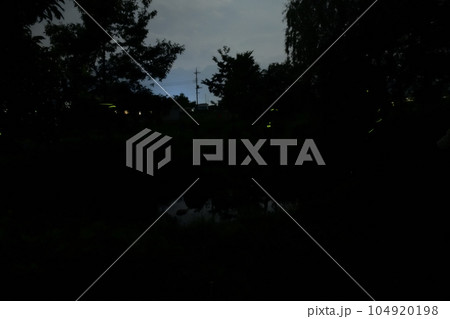 北杜市白州町、「ホタル親水公園」夏の夕べにホタル舞う 北杜市白州町、「ホタル親水公園」夏の夕べにホタル舞う 104920198