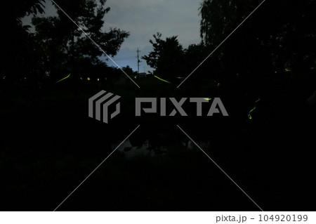北杜市白州町、「ホタル親水公園」夏の夕べにホタル舞う 北杜市白州町、「ホタル親水公園」夏の夕べにホタル舞う 104920199