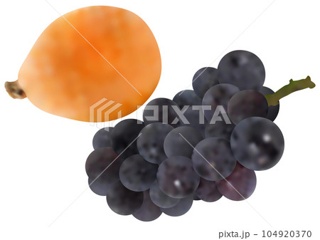 「ブドウ」ニューピオーネと「ビワの実」 104920370