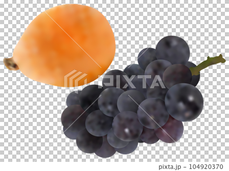 「ブドウ」ニューピオーネと「ビワの実」 104920370