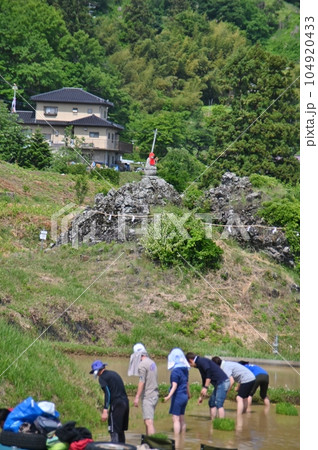 姪石付近の棚田の田植え風景 姪石付近の棚田の田植え風景 104920433