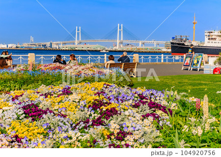 神奈川県　横浜市　春の山下公園　色とりどりの花とベイブリッジ 104920756