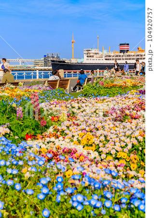 神奈川県　横浜市　春の山下公園　色とりどりの花と氷川丸 104920757