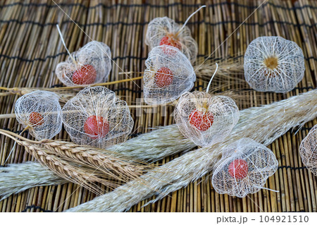 すだれにの上にたくさんの透かしホオズキ。ムギ、パンパスグラスのドライフラワーを添えて。 104921510