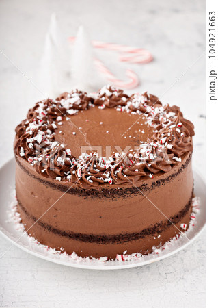 Peppermint chocolate cake 104921663