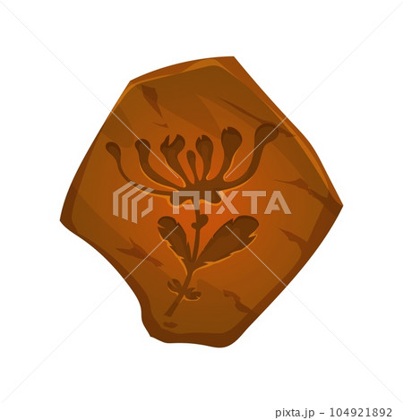 Ancient fossil, plant imprint in stone, vector paleontology and archaeology science. Cartoon rock of Jurassic period with impression or trace of prehistoric plant silhouette with leaves and flower 104921892