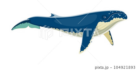 Humpback whale animal character. Isolated cartoon vector huge marine mammal with humpbacked dorsal fin and melodic songs. Inhabits oceans, with impressive size and graceful underwater acrobatics 104921893