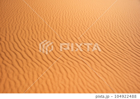 サハラ砂漠の風紋 104922488