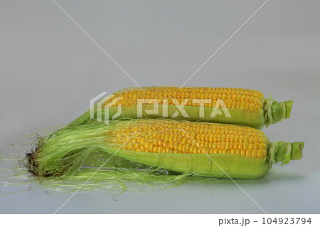 美味しそうなトウモロコシ 104923794