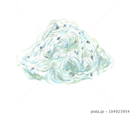 水彩で描いたシラスのイラスト 水彩で描いたシラスのイラスト 104923954