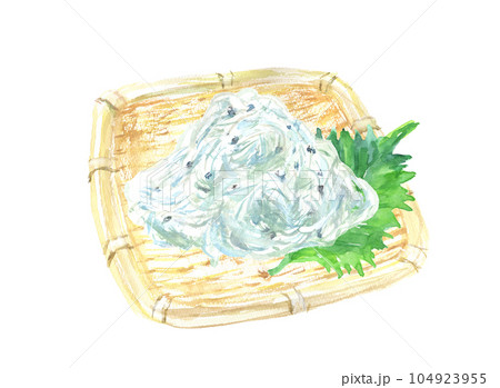 水彩で描いたシラスのイラスト 水彩で描いたシラスのイラスト 104923955