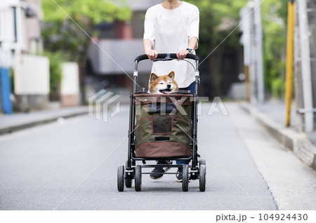 ペットカートに乗って散歩する犬 ペットカートに乗って散歩する犬 104924430