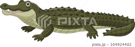 Cartoon crocodile isolated on white background 104924482