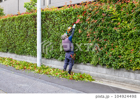 植木屋・造園業者の剪定作業 104924498